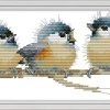 Cross Stitch Kits, Three Birds Awesocrafts Easy Patterns Cross Stitching Embroidery Kit Supplies Christmas Gifts, Stamped or Counted (Birds, Stamped)-0