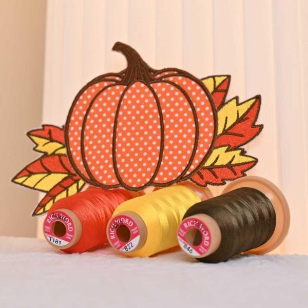 Richword Selected 800M 60 Colors Embroidery Thread, 40WT(108D/2) Polyester Thread Set for Embroidery and Sewing Machines, Suitable for Studio and Bulk Projects-2