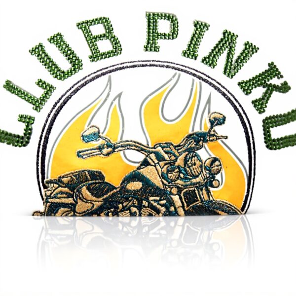 Sweatshirt femme PINKO 9084AU maxi coton casual beige